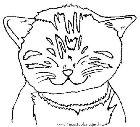 Click the abyssinian cat coloring pages to view printable version or color it online (compatible with ipad and android tablets). Pin by Angel on Color Pages ~ Animals | Cat coloring page ...