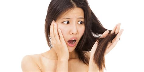 Jika kamu mengalami rambut rontok, racikan lidah buaya, madu dan minyak kelapa, bisa menjadi obat yang sangat ampuh. Tips Mengatasi Rambut Rontok Secara Alami | TeknoFlas.com