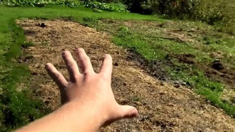 Get your hands on some manure today and start composting for soil fertility later on in the season. Using Chicken Manure in your Garden - YouTube