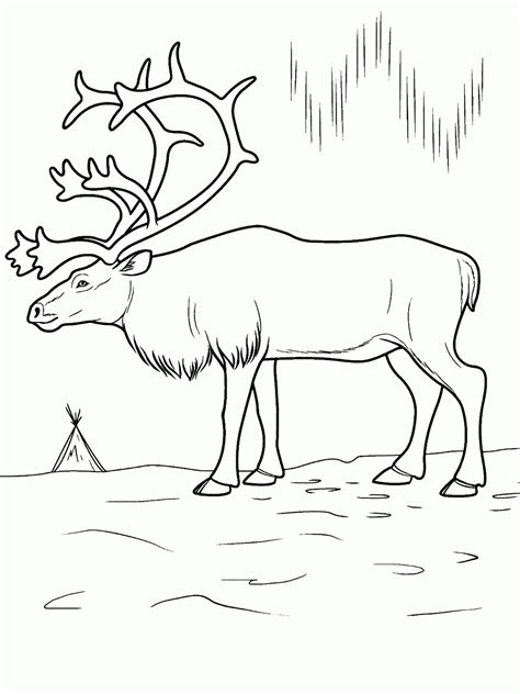 These example coloring pages are ideal for kids at kindergarten, or for other children learning colors! Free Printable Arctic Animals Coloring Pages - Coloring Home