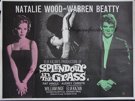 We bring you this movie in multiple definitions. Splendour in the Grass, Original Vintage Film Poster| Original Poster - vintage film and movie ...