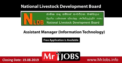 Assistant Manager Information Technology - National ...