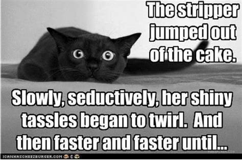 She convinces him to go through with the deed. Pin by Zeny Williams on Cat Got Your Tongue? | Funny cat ...
