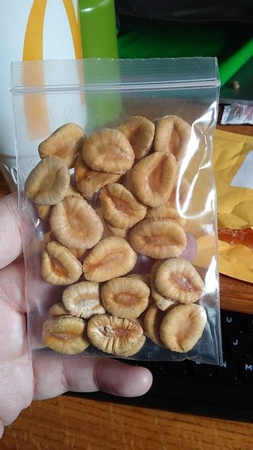 We contacted adas (the agricultural consultancy) who explained that a meeting had been organised by the food and. identification - What are these seeds from China, that are ...