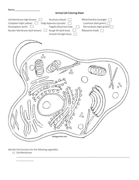 Briefly describe the function of the cell parts. Name: Animal Cell Coloring Sheet Cell Membrane (ligh brown