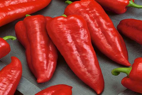 Red Marconi Pepper | Premium Garden Seeds | Hoss Tools