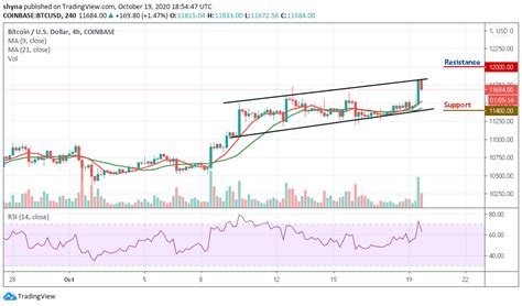 Since this time last year, the number of wallets holding bitcoin has grown by a whopping 8 million, with. Bitcoin Price Prediction: BTC/USD Stabilizes Above $11,600 ...