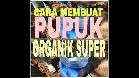 Home » lele sangkuriang » pakan lele organik hasil buatan sendiri. pupuk organik super buatan sendiri Full HD - YouTube