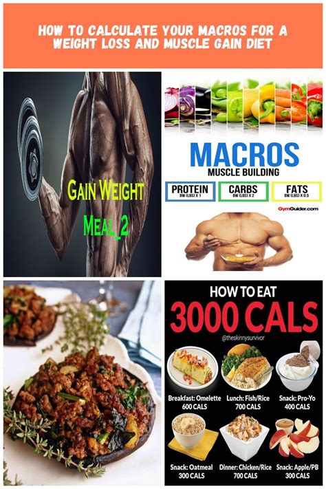 If you want to stay healthy and have more energy, this is the plan for you. Best Weight Gain Diet Plan For Skinny Guys - Spin Camnet