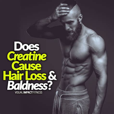 Looking at the relationship between progesterone, estrogen and hair loss some doctors may automatically assume that it's low estrogen that's causing your hair loss, particularly if you're going through menopause. Does Creatine Cause Hair Loss & Baldness? | Workout plan ...