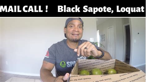 The tropical fruit tree is native to mexico, central america, and colombia. BLACK SAPOTE - chocolate pudding fruit - MAIL Call | - YouTube