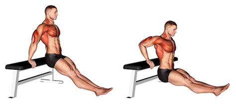 Fit mit der wasserwacht #3 übungen mit einer bank. ᐅ Dips Ausführung: Top 6 Übungen (Bilder + Videos)