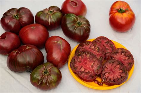 Indeterminate, regular leaf plants with good yield. 'Black Krim' Tomatoes | Seed saving, Seeds, Bean varieties