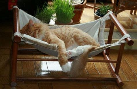 Use the slit ends to tie one corner of the fabric to each chair leg. How to Make a Cat Hammock | Cat hammock, Diy cat hammock ...