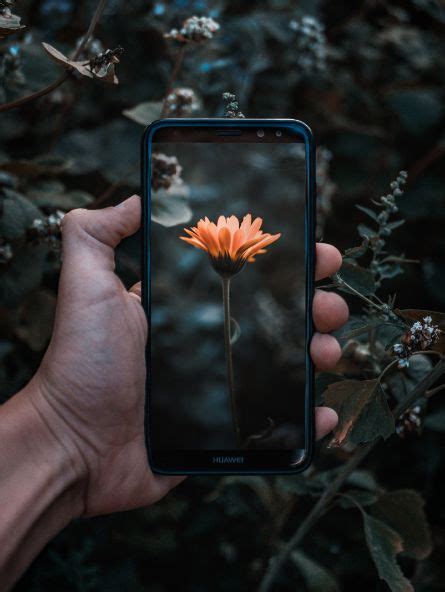 The objectives to develop such a mobile application is to utilize smartphones and benefit from the photographs taken by their camera in order to perform environmental monitoring. LeafSnap - Plant Identification