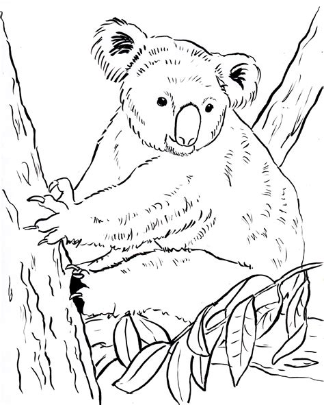 Print free animal coloring pages. Koala Bear Coloring Page - Art Starts