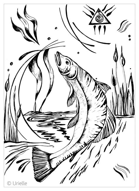 Brown bear catch the salmon coloring page. Salmon - Fishes Adult Coloring Pages