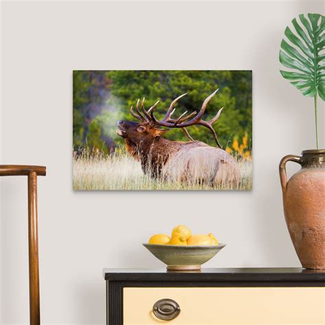 What are some good home decorating ideas? Bull Elk Canvas Wall Art Print, Wildlife Home Decor | eBay