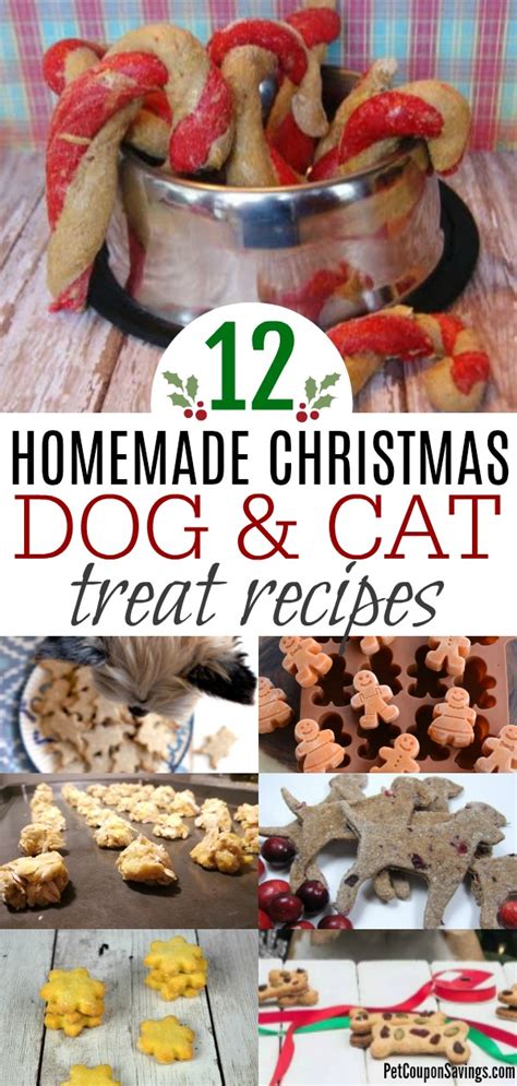 All of these make excellent additions to cat treat recipes. Homemade Christmas Dog and Cat Treat Recipes - Pet Coupon ...