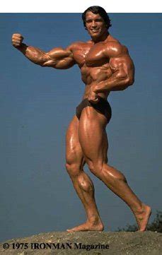 If you're a woman interested in becoming a you see, the female body produces way less testosterone than the male body, which means you. Fit Past 40: Superman Muscle & Bodybuilding Guide
