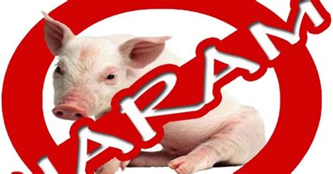 Poin soal tidak relevannya itu hanya pada alasan kenapa babi haram, bukan soal haram atau tidaknya babi. KAMU TAHU ALASAN KENAPA BABI ITU HARAM ? ~ celotehan ...