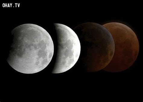 Việc ngắm nguyệt thực bằng mắt thường là hoàn toàn an toàn. Bí quyết xem hiện tượng "Mặt trăng máu" vào ngày 04/04 ...