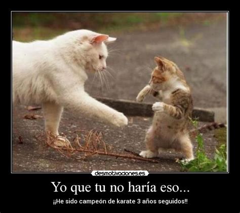 We did not find results for: Usuario: michelin95 | Desmotivaciones