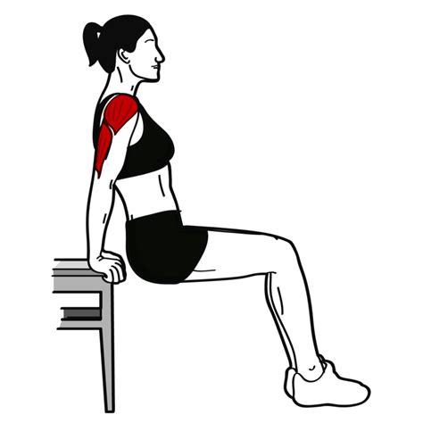 80-20.fit: Dips am Stuhl: Übung für den Trizeps richtig ...