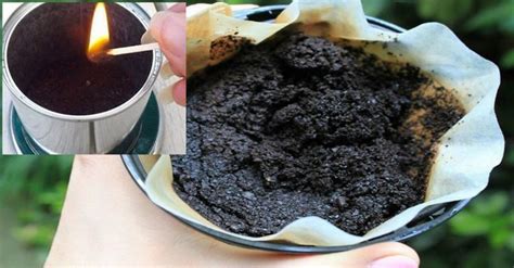 Burning coffee grounds for bug repellent. Burning Coffee Grounds - Cook It | Burnt coffee, Coffee grounds, Insect repellent homemade