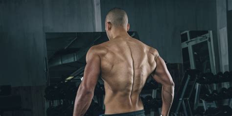 Stretching your muscles is as important as. Back Workouts: 4 Workouts to Build a Muscular Back