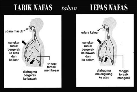 Letaknya tuh ada di bawah perut gitu. RIBATH Archery Club: Latihan Teknik Pernafasan