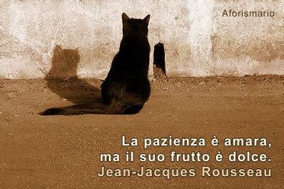 Il coraggio non è la forza di andare avanti; Frasi Sulla Forza E Il Coraggio