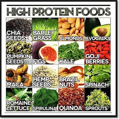 Maybe you would like to learn more about one of these? High Protein Plant-Based Foods - You can find 4 of these ...