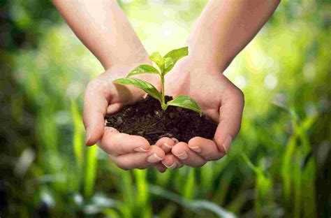 Sustainable Agriculture | Information on Sustainable ...