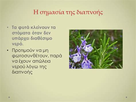 Διάβασε την περίληψη & τις κριτικές μελών για το βιβλίο «βιολογία β΄λυκείου» (πηνελόπη σωτηρίου, νίκος ι. ΒΙΟΛΟΓΙΑ ΛΥΚΕΙΟΥ: ΦΩΤΟΣΥΝΘΕΣΗ Β΄ΛΥΚΕΙΟΥ