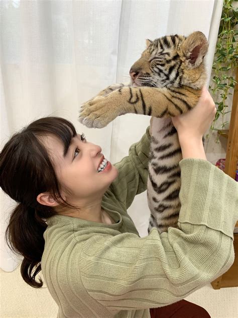 橋本環奈（日語：橋本 環奈／はしもと かんな hashimoto kanna */?，1999年2月3日－）是日本演員，福岡縣出身，為女子在地偶像團體rev. 橋本環奈 @H_KANNA_0203 Twitter profile | Twigzu