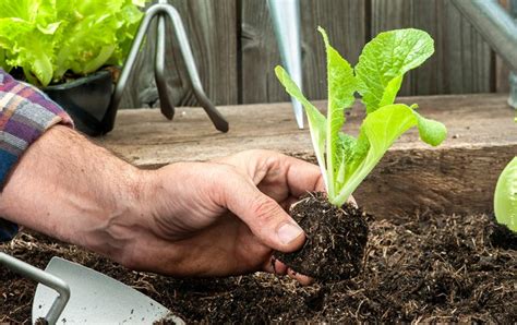 Um den eigenen garten zu pflegen, benötigen sie auch effiziente gartengeräte und passendes gartenzubehör. Garten und Freizeit - alles für draußen bei bauSpezi ...