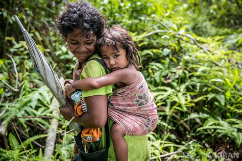 Orang asli in a sentence and translation of orang asli in english dictionary with audio pronunciation by dictionarist.com. How Much Selangor Orang Asli Land Has The Government Stolen