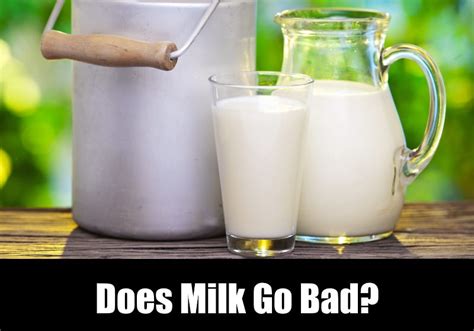 Gently swirl the bottle to mix the components and test the temperature how can i tell if breast milk has gone bad? Does Milk Go Bad? How Long Does It Last? | KitchenSanity