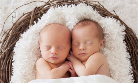 Последниве години се раѓаат сѐ повеќе близнаци во светот - IPortal
