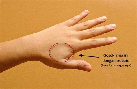Check spelling or type a new query. Ini Dia Obat Sakit Gigi Paling Mujarab Dan Murah Meriah ...