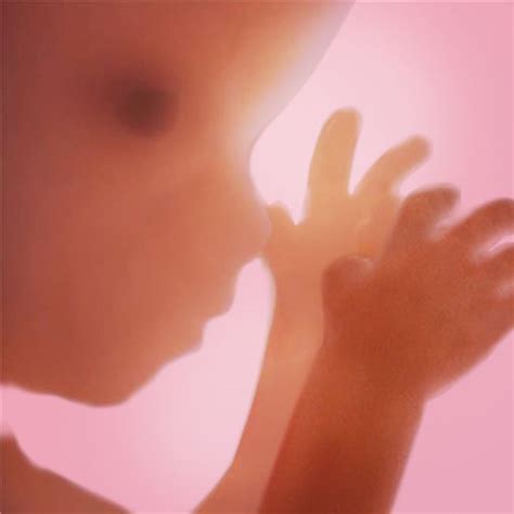 Pregnancy + Mobile App | The Best Mobile App Awards
