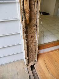 From boxes of food to piles of clothes, pantries to corners, pests can find a way to get just about anywhere. How to Get Rid of Drywood Termite Through Termite Control ...