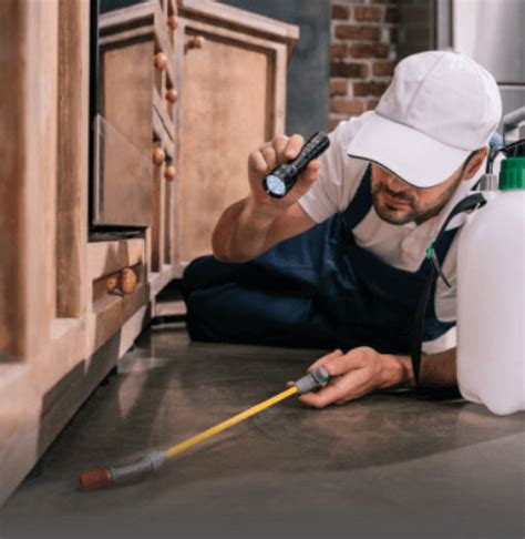 Последние твиты от shield pest management (@_shieldpest). INTPest - Pest Control and General Cleaning Services in Penang