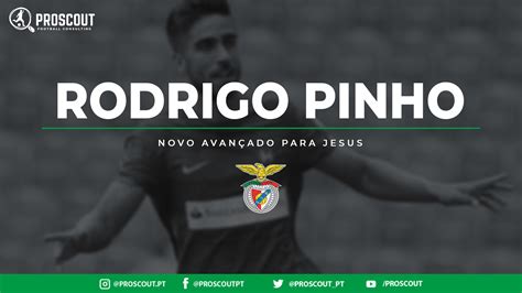 Rodrigo pinho vai ser reforço do benfica, adianta a comunicação social portuguesa. Rodrigo Pinho - novo avançado para Jesus | ProScout