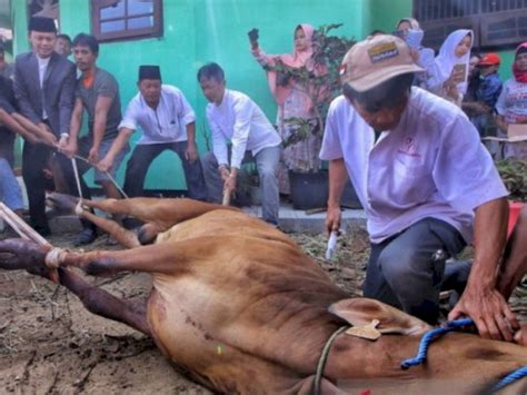 Karangan tentang hari raya kurban. Sejarah Hari Raya Idul Adha dan Awal Mula Kurban dalam ...