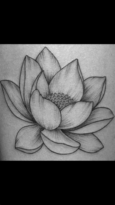 Lotus flower hand drawn monochrome vector floral illustration. Épinglé par Tara F. sur Tats and holes | Dessin fleur de ...