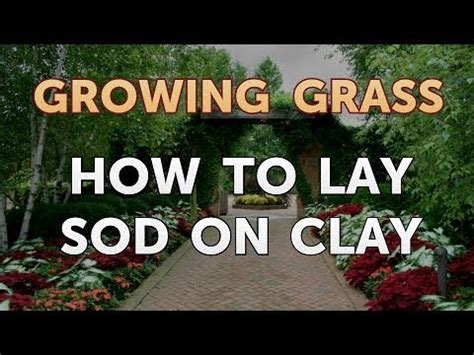 Not sure how to lay sod? How to Lay Sod on Clay - YouTube