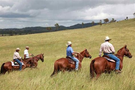 While on this horse riding holidays, you are likely to meet turks still living their traditional lifestyle in their homes which have been carved out of soft rock. Noosa, Sunshine Coast | Horse Riding Holidays and Safaris