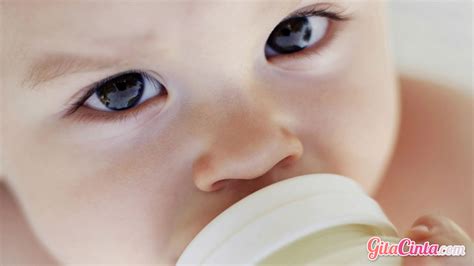 Susu formula adalah produk pangan pengganti air susu ibu yang di buat dan di rancang khusus untuk memberi nutrisi pada bayi. Setelah Diseduh Berapa Lama Susu Formula Anak Akan Basi ...